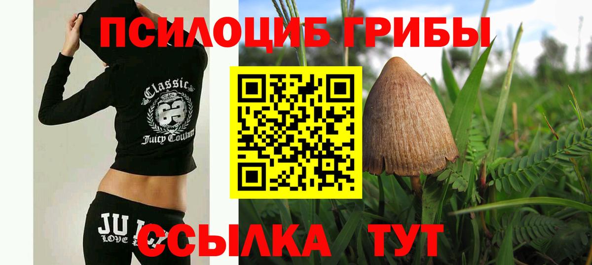 Александров  Галлюциногенные грибы ЛСД  Вход с VPN 