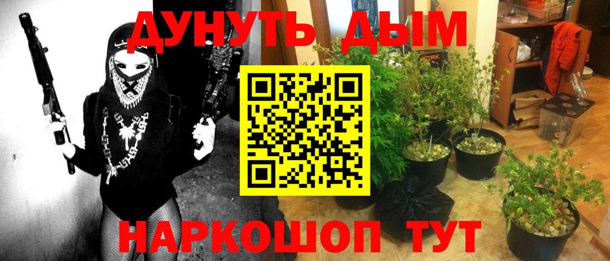 Канабис OG Kush Александров